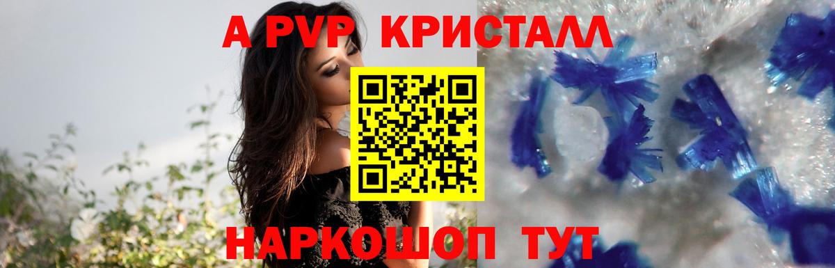 А ПВП крисы CK Новосибирск
