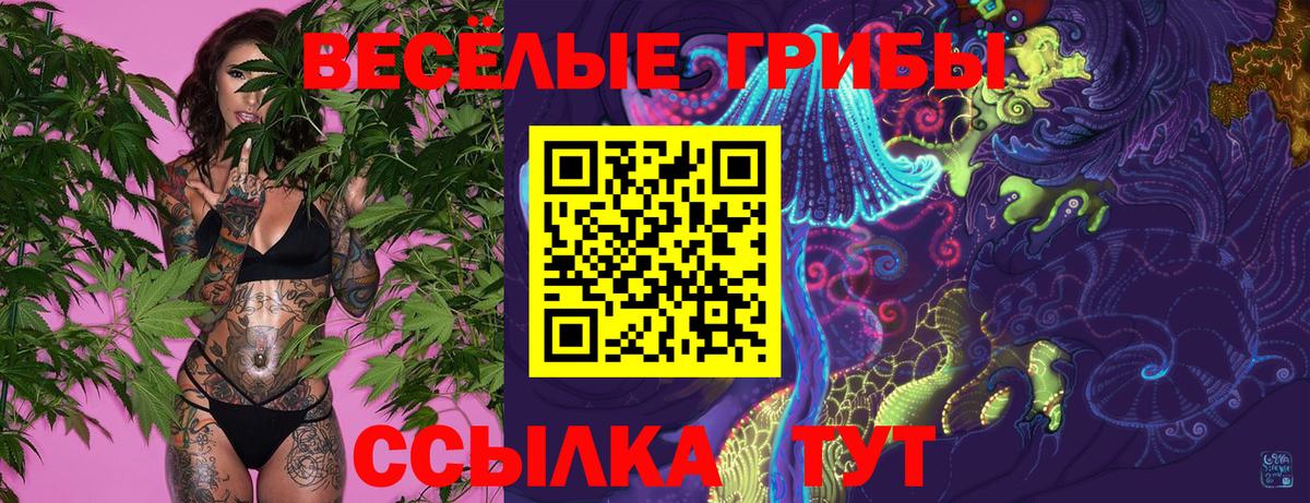 Галлюциногенные грибы мицелий  Галлюциногенные грибы мицелий  Вход с VPN  Новосибирск 