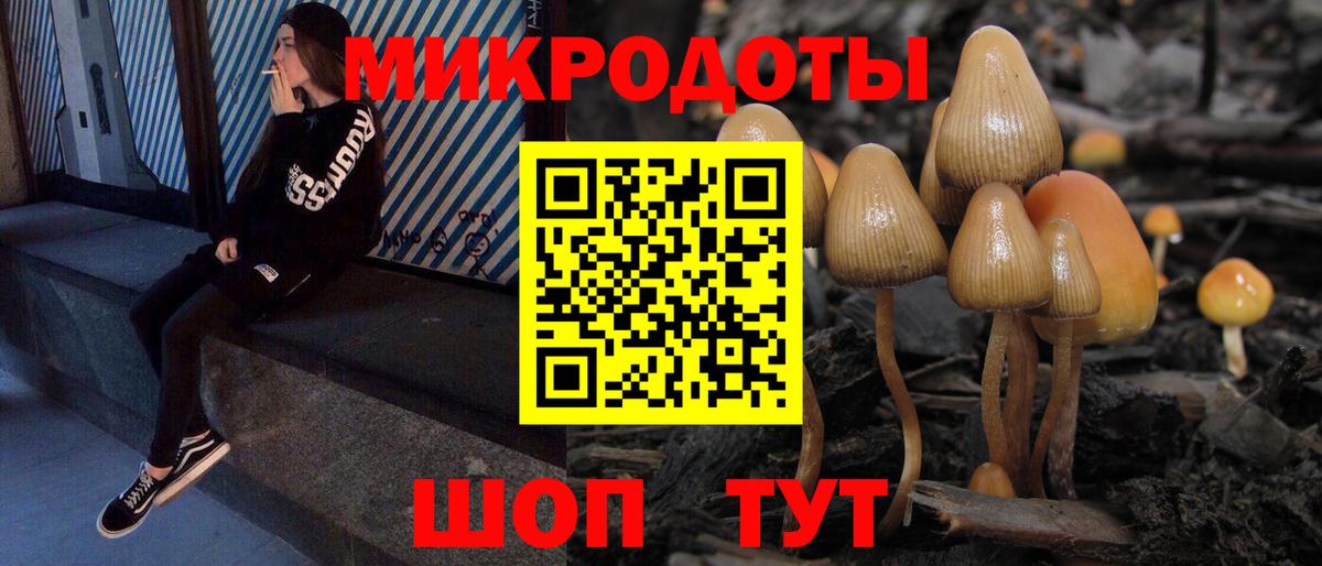Псилоцибиновые грибы Cubensis Новосибирск